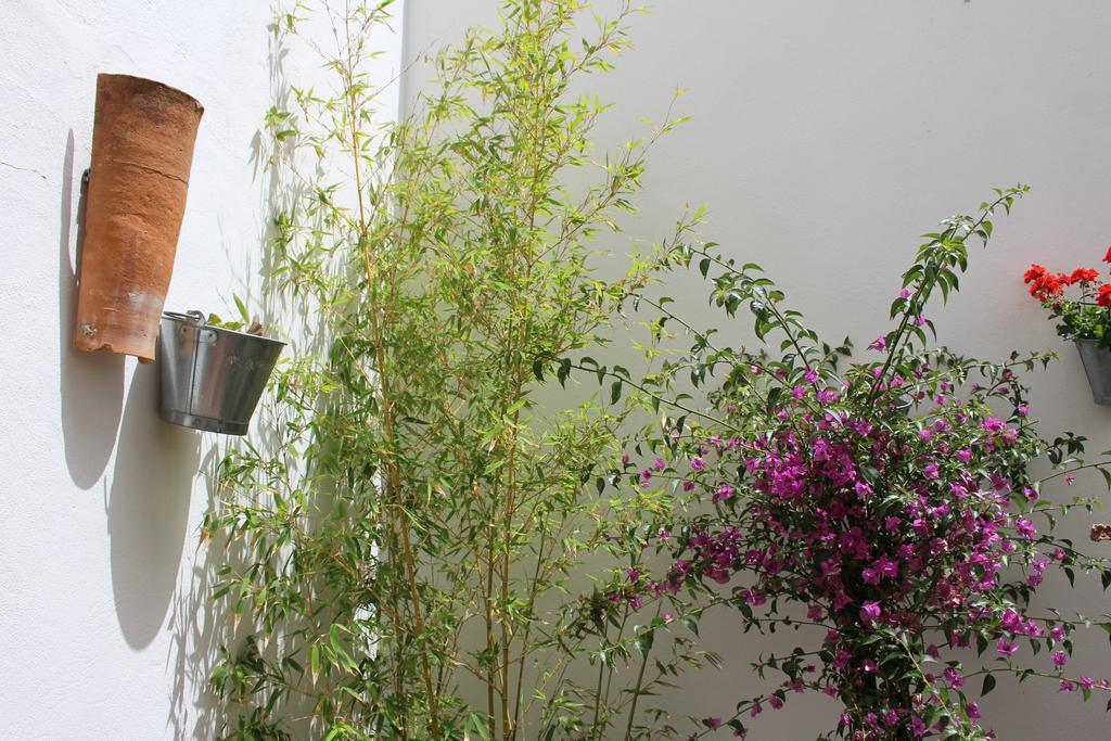 Room Tarifa Exterior foto